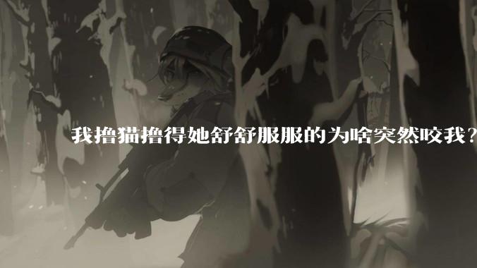 我撸猫撸得她舒舒服服的为啥突然咬我？