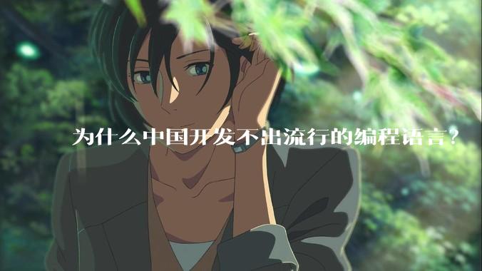 为什么中国开发不出流行的编程语言？