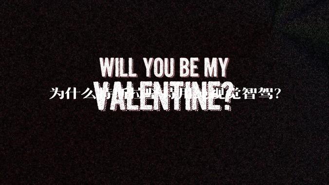 为什么特斯拉坚持用纯视觉智驾？