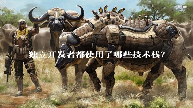 独立开发者都使用了哪些技术栈？