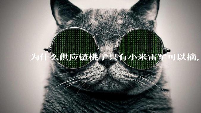 为什么供应链桃子只有小米雷军可以摘，其他人只能干瞪眼？