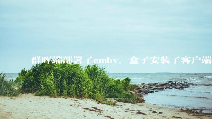 群晖端部署了emby，盒子安装了客户端播放蓝光电影为什么不能显示影片自带字幕？