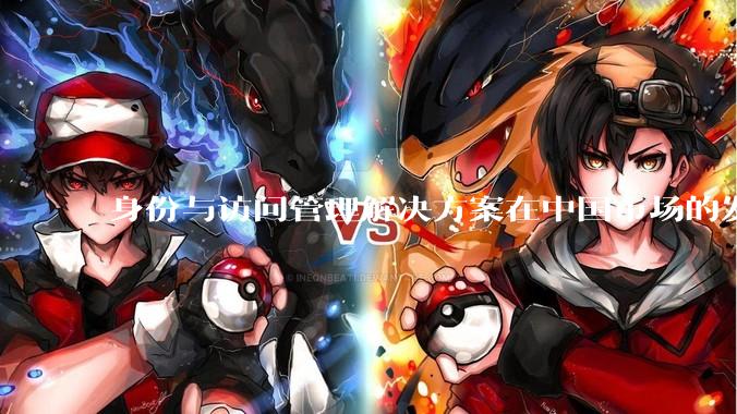 身份与访问管理解决方案在中国市场的发展前景？