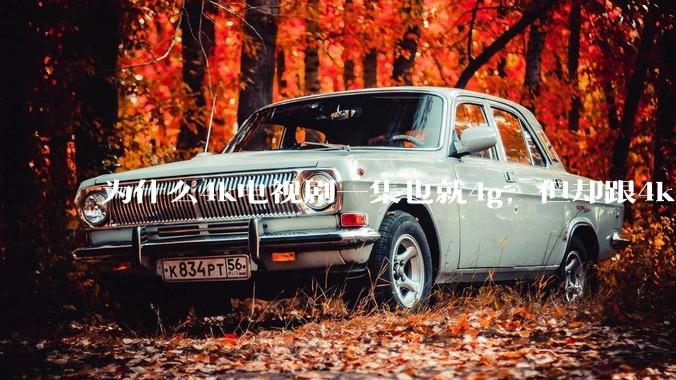 为什么4k电视剧一集也就4g，但却跟4k原盘电影100g看起来差不多清晰？