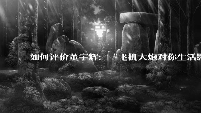 如何评价董宇辉：“飞机大炮对你生活影响其实并不大，小家电才是真正提升每个人生活质量”这个观点？